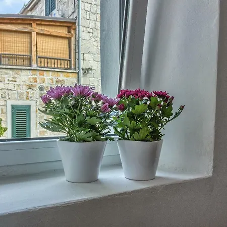 Apartment Lovely New Studio In The City Center 4**** *
