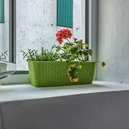 Lovely New Studio In The City Center 4**** Split